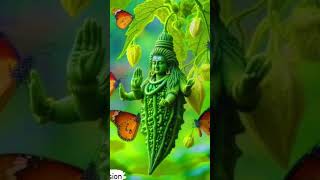 Jay Mahakil song story [upl. by Sherj358]