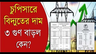 WBSEDCL চুপিসারে বিদ্যুতের দাম ৩ গুণ বাড়ল কেন  Bangla News [upl. by Gnah]