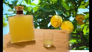 Homemade Limoncello  Italian lemon liqueur recipe [upl. by Swann]