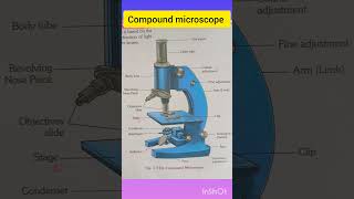 Compound microscope structure and diagram diagram of compound microscope microscope science [upl. by Silvano]