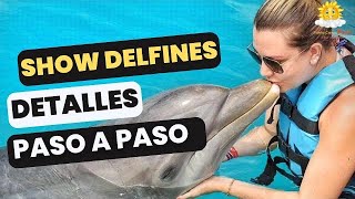 Show Delfines Punta Cana con Trasporte incluido todos los días [upl. by Aiclid829]