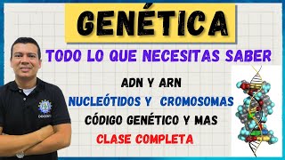 GENETICA CROMOSOMAS ADN Y ARN CODIGO GENETICO NUCLEOTIDOS MUTACIONES BASES NITROGENADAS [upl. by Maxa89]