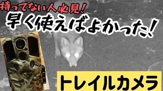 【狩猟】トレイルカメラの使用感ってこんな感じ [upl. by Woolson]