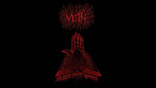 VEIN USA  Blood Oaths Full Length 2022 [upl. by Yhtomiht423]