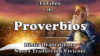 Libro de Proverbios  Narrado  AudioLibro [upl. by Alyahs992]