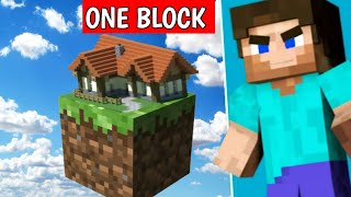 Minecraft But Its Only One Block  Chapati hindustani gamer Loggy hindustani gamer [upl. by Sager]