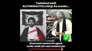 mulla raddi ali raza london hhaarraammzzaaddaa exposed [upl. by Ynad]