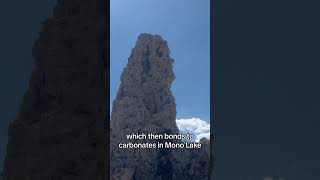 Unusual Rock Formations at this California Lake monolake geology rockhounding [upl. by Aicatsue319]