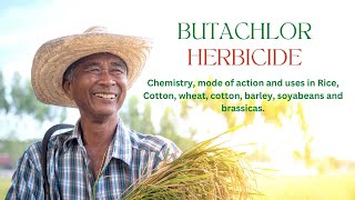 Understanding Butachlor Chemistry Mode of Action and Uses  Rice Herbicide [upl. by Arquit]