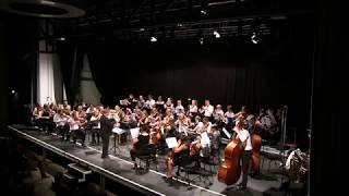 Rosamunde Schubert  Youth Symphony Orchestra [upl. by Idnek587]