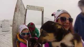 Gopro Helicopter Ride and Dog Sledding in Skagway Alaska [upl. by Allwein]