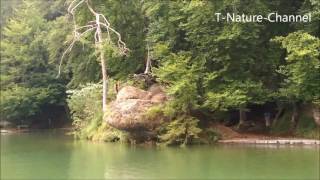 Ausblick beim Schleppfischen am Hechtsee in Kufstein  Tirol  Austria [upl. by Annoyek256]