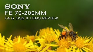 Sony FE 70200mm F4 G OSS II Macro Lens review amp samples [upl. by Coulombe]