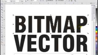 Bitmaps and Vector in CorelDRAW [upl. by Sinaj]