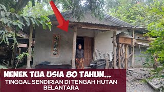 MENGUNJUNGI NENEK TUA USIA 80 TAHUN YANG TINGGAL SENDIRIAN DI TENGAH HUTAN BELANTARA LERENG MERAPI [upl. by Aleak609]