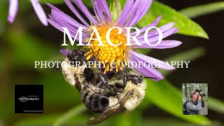 Macro Photography amp Videography [upl. by Einitsed]