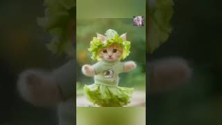 cutecats dance 💖💖shortsviralyoutubeshortsytshortsviralshortsshortsfeeds [upl. by Iliak]