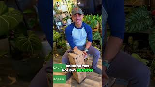 Unboxing Costa Farms White Knight Philodendron – A Plant Lovers Dream [upl. by Ymorej76]