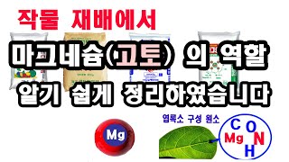 마그네슘 비료Mg 고토비료 역할 알기 쉽게 정리하였습니다 작물재배에서 마그네슘 비료가 하는 기능 설명 고토비료 효과 Mg역할 마그네슘비료 1째 이야기 [upl. by Eelannej]