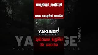 අභිරහස් වලව්ව 05 කොටස  sinhala holman katha sinhalaholmankatha horrortok viral foryou [upl. by Laenahtan]