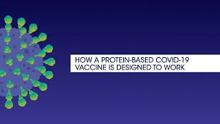 How is a proteinbased vaccine designed to work [upl. by Anyehs]