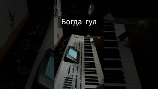 bogda gul KORG PA X2 ADHAM 92 OSHOBA LAYK VA OBUNA BOLAMIZ Piano music [upl. by Aehsan]