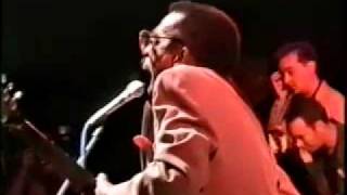 Syl Johnson Live at Porretta Soul Festival 1996 [upl. by Ayetal]