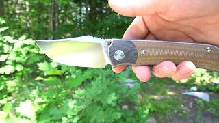 TwoSun TS301 Folding Knife [upl. by Aiuqes]