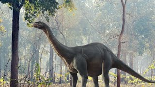 DINOSAURS  BRONTOSAURUS  General Characteristics  Information [upl. by Kresic]