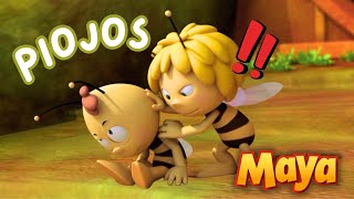 Maya y Willy se enfrentan a losPIOJOS🕷️🕷️ MEJORES CAPÍTULOS DE MAYA para niños en ESPAÑOL 🐝 [upl. by Juetta928]