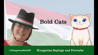 Hungarian Sayings  Bold cats [upl. by Etteloiv76]