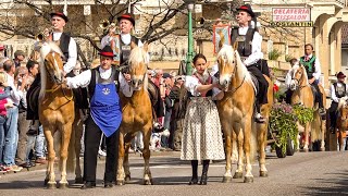 🏇 Haflinger Galopprennen in Meran 2019  Festumzug [upl. by Alyahs469]