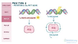 MEN SYNDROME pathology review [upl. by Cherey]