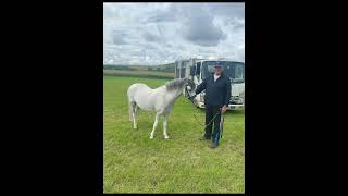 Eskdale pony club open show Sunday 6th July underburnmouth [upl. by Ardnaz214]