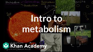 Introduction to metabolism anabolism and catabolism  Khan Academy [upl. by Aiciram775]