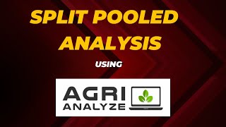 Split Plot Pooled Analysis [upl. by Aiclef140]