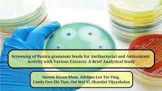 Screening of Punica granatum Seeds for Antibacterial and Antioxidant Activity with Various Extracts [upl. by Bonnes762]