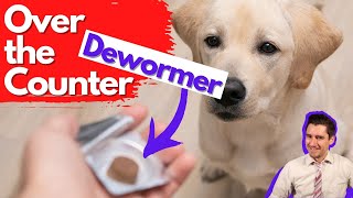 Over the Counter Dog Dewormer Dr Dan talks dewormers [upl. by Enaitsirk167]