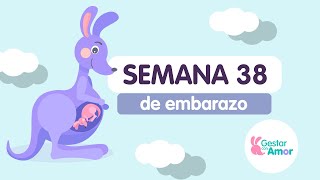 Semana 38 de embarazo [upl. by Sension]