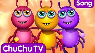 Incy Wincy Spider Nursery Rhyme With Lyrics  Cartoon Animation Rhymes amp Songs for Children [upl. by Nnayr]