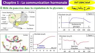 Rôle du pancréas dans la régulation de la glycémie svt 1bac شرح بالداريجة [upl. by Atina]