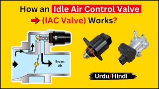 Idle Air Control Valve IAC Valve  How it Works [upl. by Ahsina]