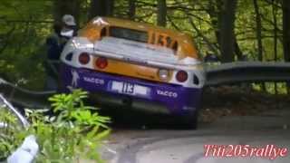 sorties crashs et figures rallye et course de cote best of 2013 [upl. by Killen]