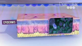 How LED Phototherapy Works [upl. by Ilyah]