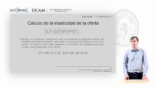 Microeconomía I  La elasticidad de la oferta y de la demanda 6  Alfonso Rosa [upl. by Lockwood]