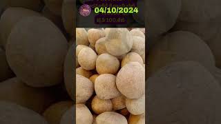 04102024 Arsikere Kobbari Market Rate  Latest Coconut Price Update shorts [upl. by Smeaj]