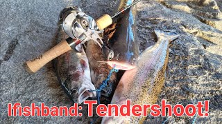 Santee Lakes Bfs Trout fishing Ifishband Tendershoot Drop Shotting for Trout [upl. by Edijabab]