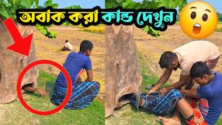 গাছ লুঙ্গিটাকে গিলে ফেলতেছে 😲 best funny video  new comedy video  funny Natok 2024  Shamim Vai [upl. by Adnamar]