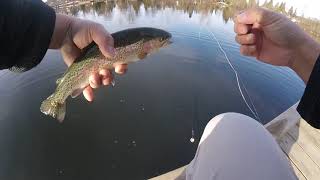 Spring chironomid fly fishing in an Urban lake [upl. by Blase237]