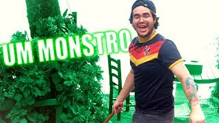 ENCONTRAMOS UM MONSTRO NA PRAIA [upl. by Mareld]